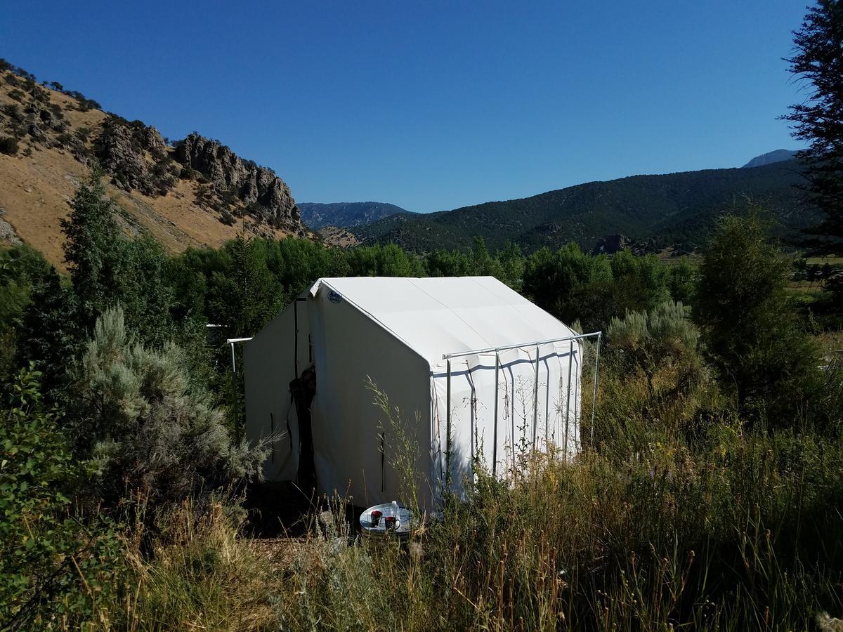 Bristol Cabins Lava Hot Springs Extérieur photo
